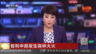 [中国新闻]智利中部发生森林大火