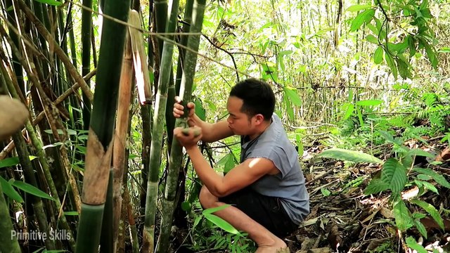 Build house from Wood and Leaves in the Forest - Primitive & Skills