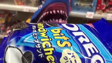 PET SHARK ATTACK chase at a Park!サメのおもちゃと公園で追いかけっこ！お菓子を買って食べる【こうちゃん】
