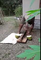 Smart Way to Cut a Jack Fruit very easily....!!!!