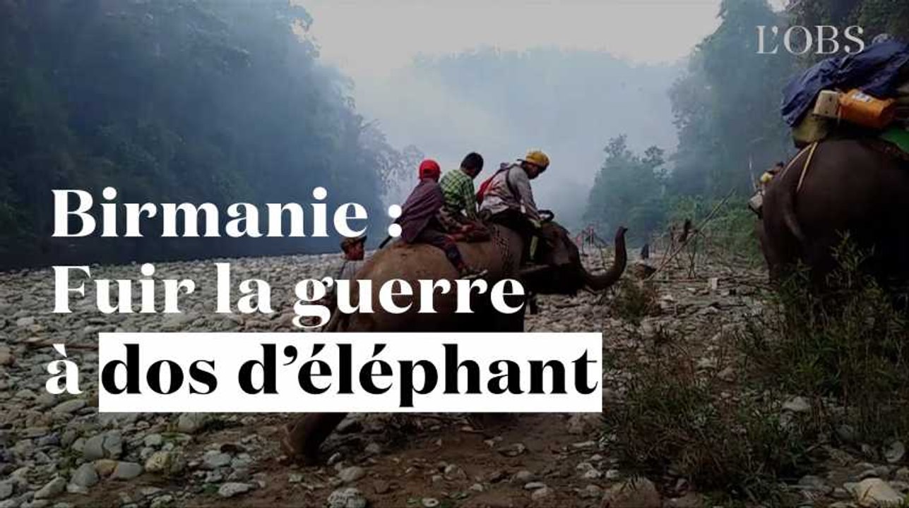 En Birmanie, les civils fuient les combats à dos d'éléphant