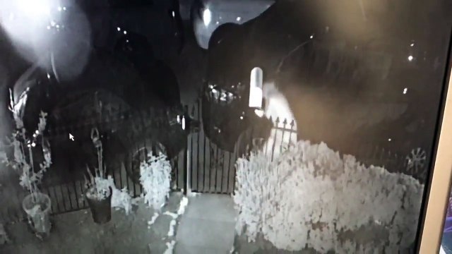 Clefs oubliées en boite elle escalade son portillon.. et tombe dans les fleurs !