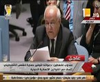 مندوب فلسطين بمجلس الأمن: عدم معاقبة إسرائيل يساعدها على ممارسة العنصرية