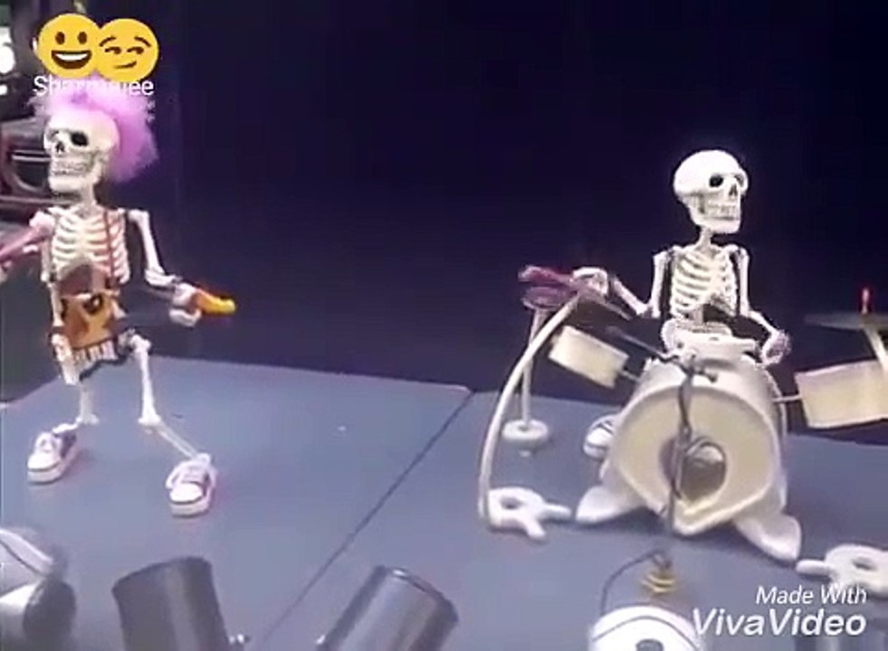 Funny video song