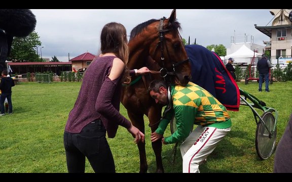 Au coeur du Quinté à l'hippodrome de Feurs