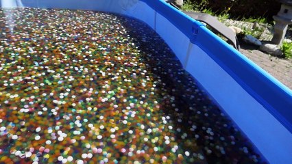 5 MILJOEN ORBEEZ IN ZWEMBAD - NEDERLANDS RECORD!