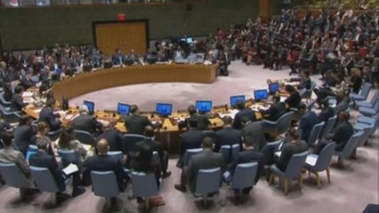 EE.UU. se queda solo en la ONU en su defensa de la respuesta israelí en Gaza