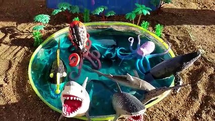 Children Video Shark Toys Learn Learning Names of Sea Animals Kids Park Slide into Mini Pool Lagoon