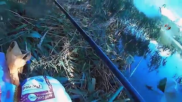 Подводные съемки поклевок на озере. Рыбалка. Ловил на поплавочную удочку. fishing. Ловля на поплавок