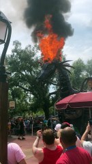 Dragon Animatronic Bursts into Flame