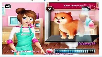 Pets Care - Pows to Beauty 1 Animal Game for kids - By IrisGamesTv
