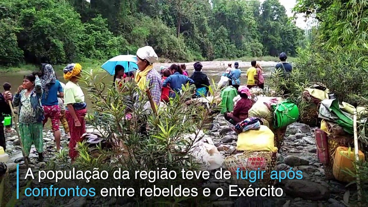 O amigo elefante