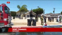 Firefighters Save 2 Dogs from Burning Home in San Diego