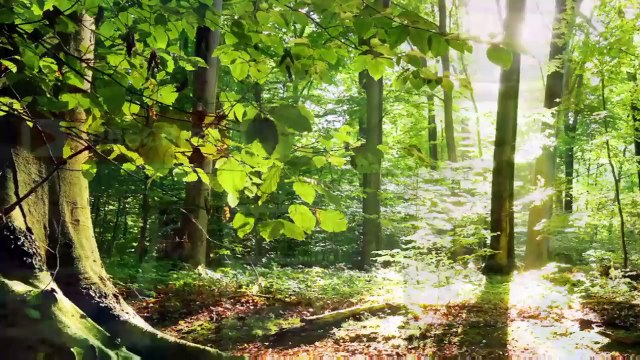 Avengers Infinity War Final Trailer Mega Reactions Mashup By Girls - 4 _ Thor _ Hulk _ IronMan