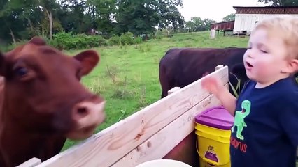 Funny Animals Trolling Babies and Kids # 11|  Funny Babies and Pets