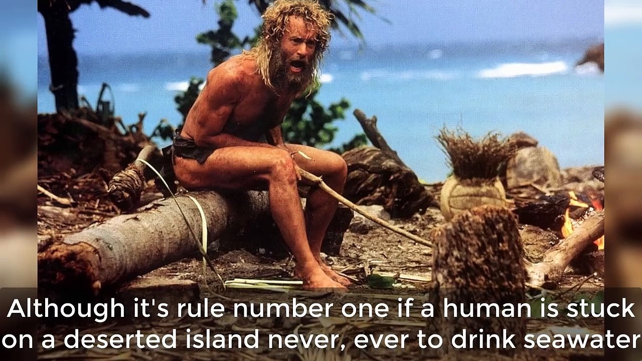 15 Scientific Facts About Cats You Need To Know