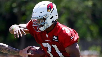 Rapoport: David Johnson is 'stronger than he has ever been' heading into 2018