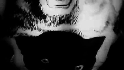 #Afou #newsong #comingsoon Panik Records fannatics.gr