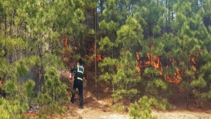 [좋은뉴스] 연기 보자마자...큰불 막은 경찰들의 기지 / YTN