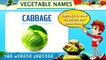Vegetables names in English - Vegetables Vocabulary. Learn Vegetable Names