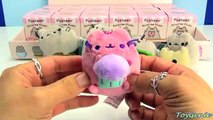 Pusheen Surprise Plushies Kitty Cat Snack Time Series in Blind Boxes