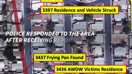 Police release body camera footage of shovel-wielding woman