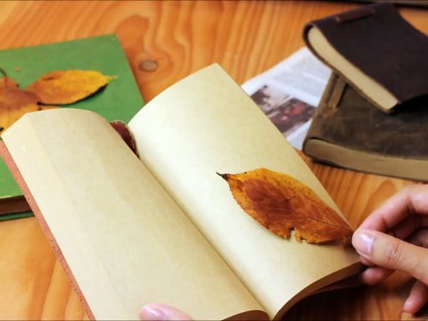 読書の秋に聞きたいクラシック名曲集(作業用 bgm ピアノ 癒し オーケストラ 定番 人気 高音質 メドレー 感動) part 2/3