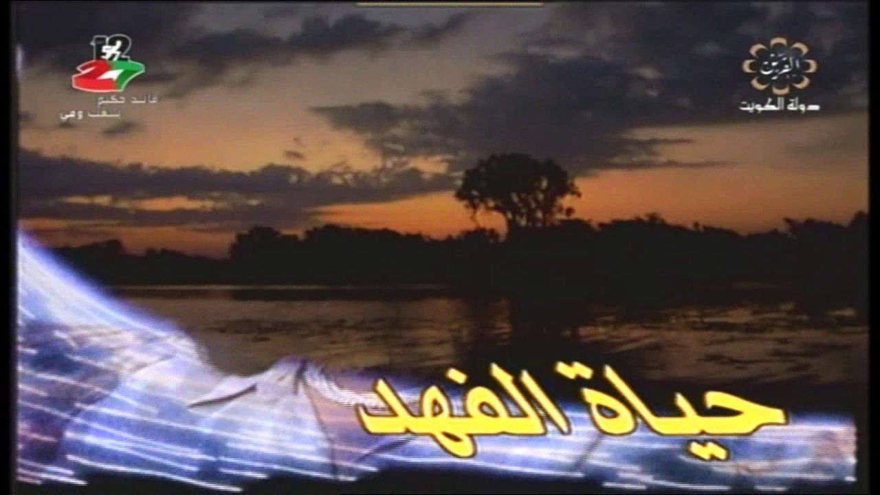 مسلسل الطير والعاصفة  1997 ح8 بطولة حياة الفهد...