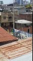 Desmanes en Manta (Ecuador) Hinchas de Atlético Nacional (Colombia) tumban mural de Emelec