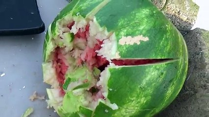 500 S&W Magnum vs Ceramic Body Armor