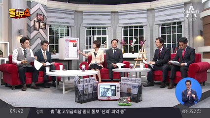 김여정, 남북 정상회담 전 둘째 낳은 듯