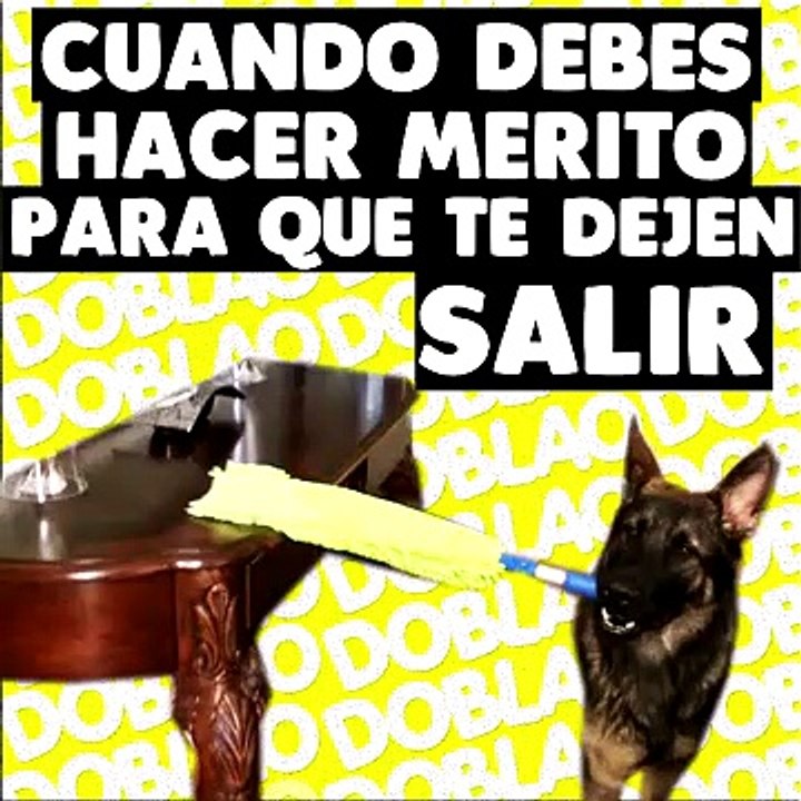 ¡ANDA A LAAR! 