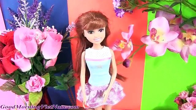 Cuộc Sống Barbie & Ken (Tập 43) Barbie Terasa Elsa Thi Trang Phục Dạ Hội (Bí Đỏ) Frozen Elsa Barbie