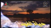 مسلسل الطير والعاصفة  1997 ح9 بطولة حياة الفهد غانم الصالح داوود حسين