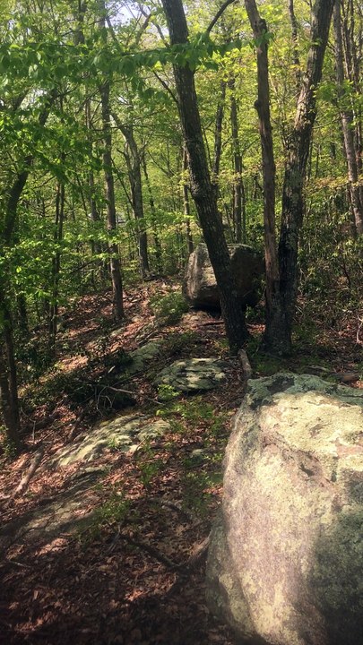 Brian Ghilliotti: Going Deeper Into the Woods Beyond the Overhang