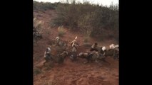 Wild Dogs Attack Warthog | Wild dogs hunt & kill baby Warthog | Most Amazing Wild Animal ATTACK VIDEOS  2018