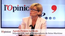 Agnès Firmin Le Bodo: «Agir Les Constructifs est un parti de droite»