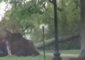 Commuters Drive Past Fallen Trees Following Severe Storm in Connecticut
