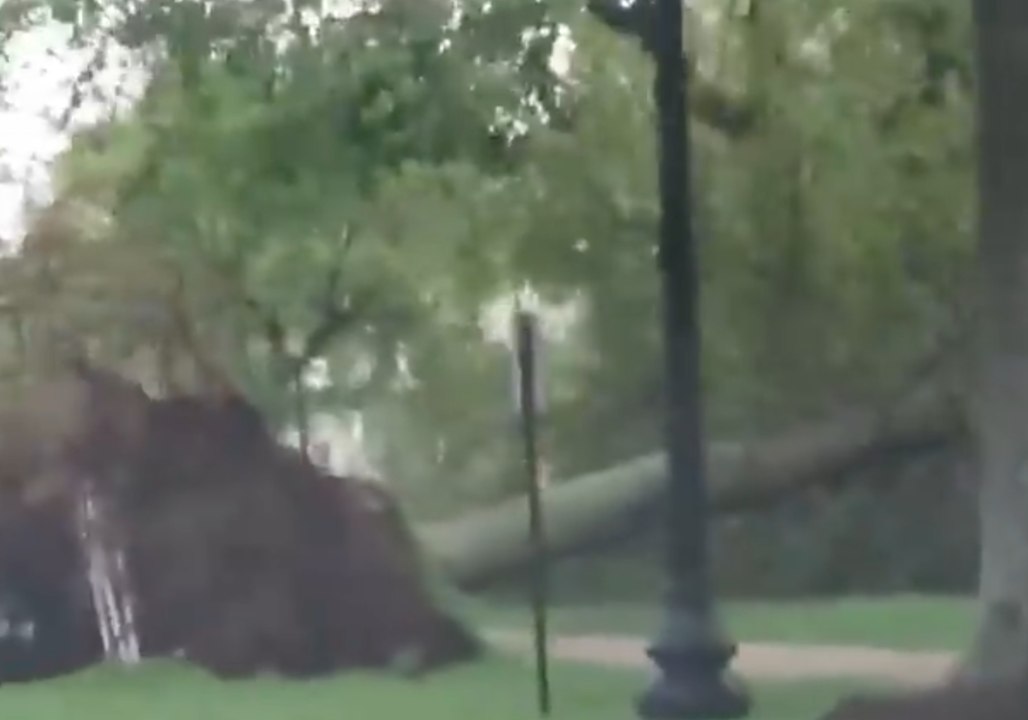 Commuters Drive Past Fallen Trees Following Severe Storm in Connecticut