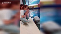 Baby cries after being kissed by beluga whale