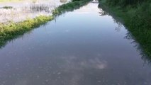 Report TV - Reshjet e shiut, përmbyten disa zona në Vlorë