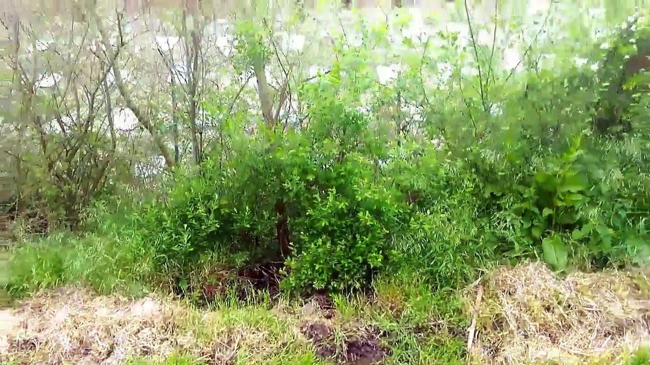 Le dangereux chemin de Halage à Warneton