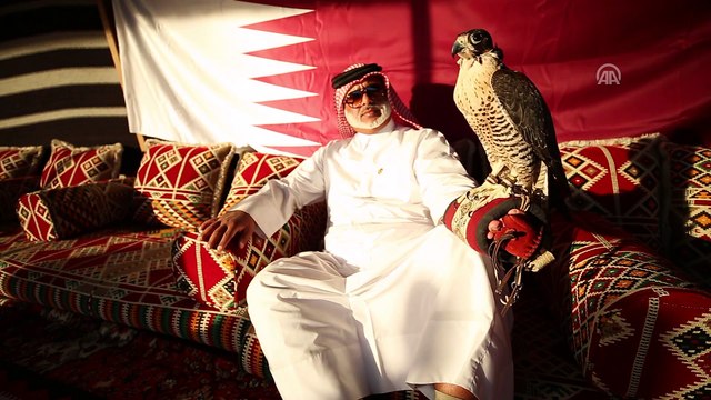 Katar'ın kanat çırpan çocukları: Şahinler - İSTANBUL