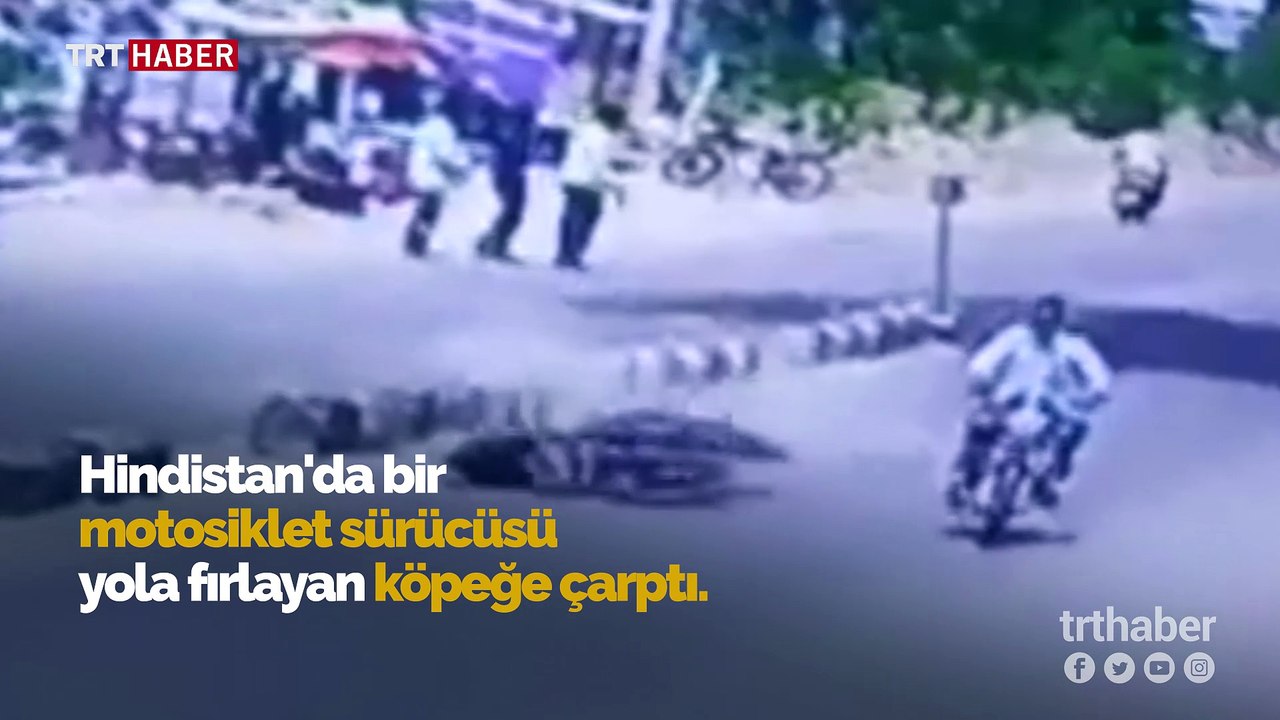 Aniden yola fırlayan köpek kazaya sebep oldu