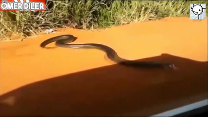 Kamera Kaydı Olmazsa İnanmıyacağınız İlginç Videolar