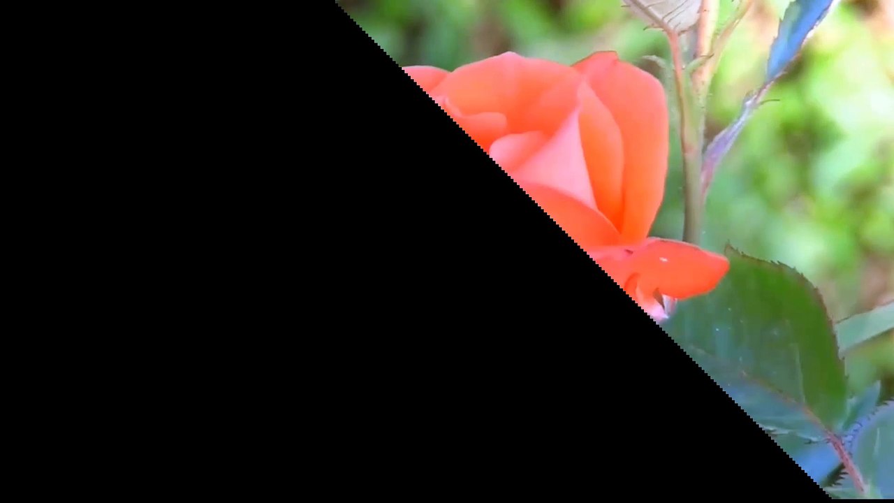 Ali Hammuda -Qiyam Ul Layl Night Prayer The Way Of The Righteous People Before us