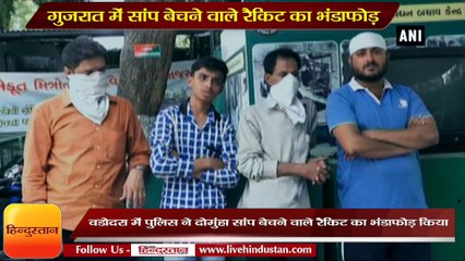 sell Red Sand Boa in Rs 60 lakh illegally II  दोमुहां सांप बेचने वाले रैकिट का भंडाफोड़ किया