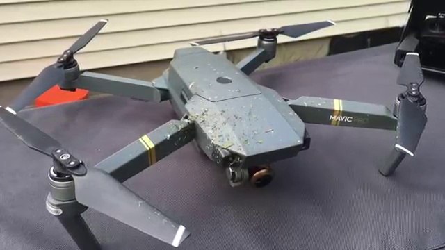 Il découpe un nid de guêpes en 2 avec son drone