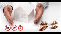 Forensic Pest Management Services