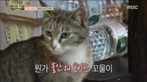 [Haha Land 2] 하하랜드2 -A cat gives birth to a child ?!20180516
